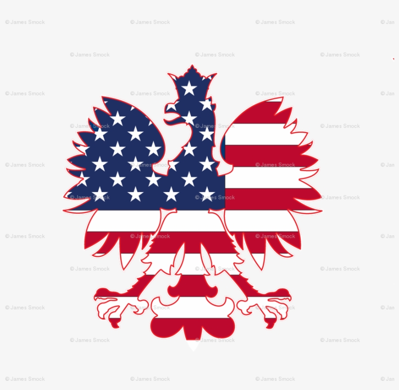 Polish American Flag, transparent png #1224743