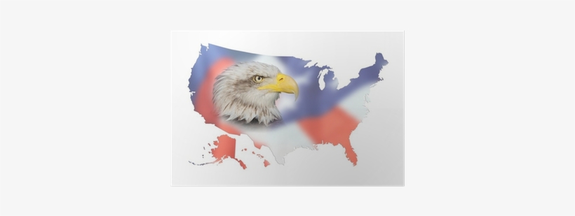 United States Vector Png, transparent png #1225080