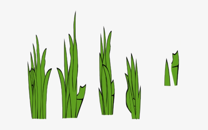 Grass Clip Art, transparent png #1225111