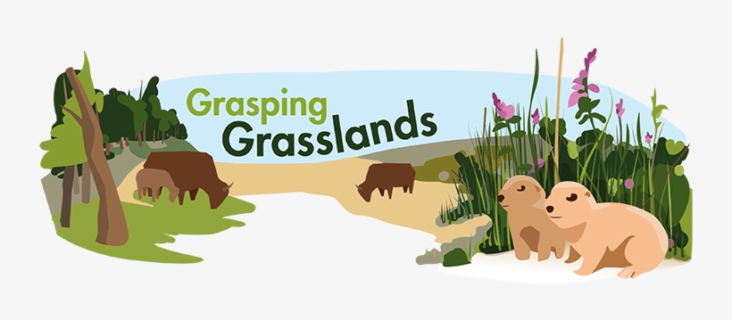 Grassland Biome - Biome Plant Grass, transparent png #1225475