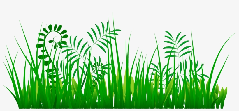 Yükle Grass Png Images - Portable Network Graphics, transparent png #1225661