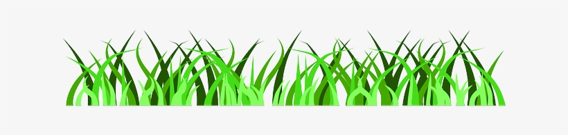 Grass-153606 640 - Zoo Scavenger Hunt Ideas, transparent png #1225886