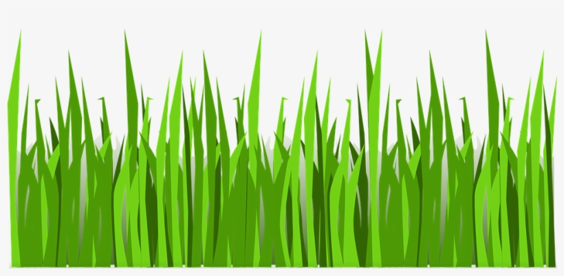 Grass Png Vector, transparent png #1226171