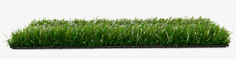 Erba - Artificial Turf, transparent png #1226345