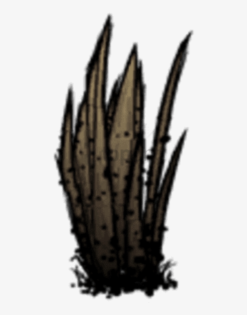 Diseased Grass Tuft - Dont Starve Grass Png, transparent png #1226674