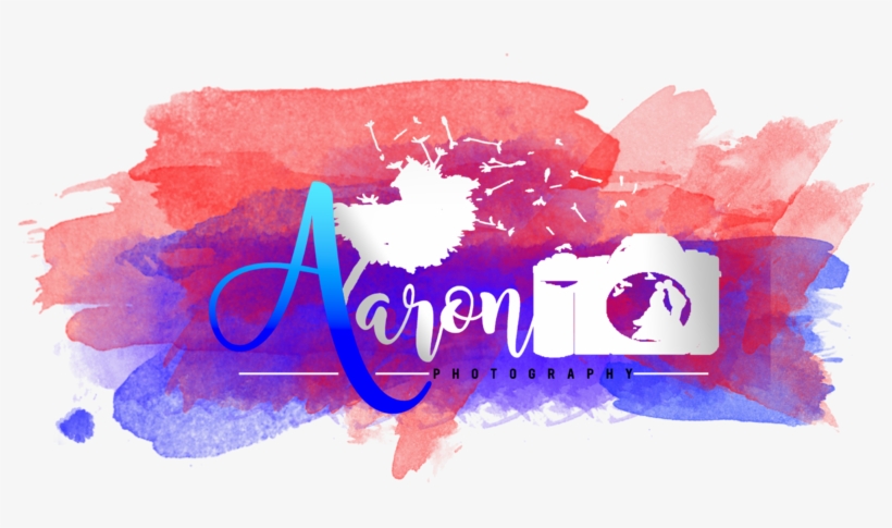 Aaron D - Photography - Visual Arts, transparent png #1226771