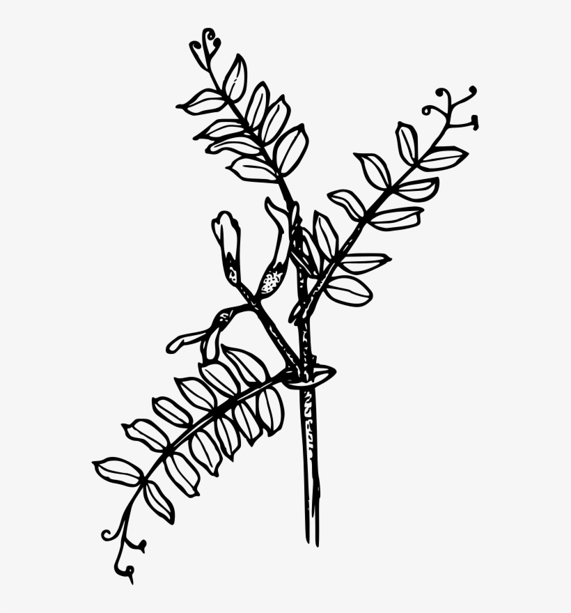 Tiny Sword Clipart Icon Png - Vetch Flower Svg, transparent png #1226838