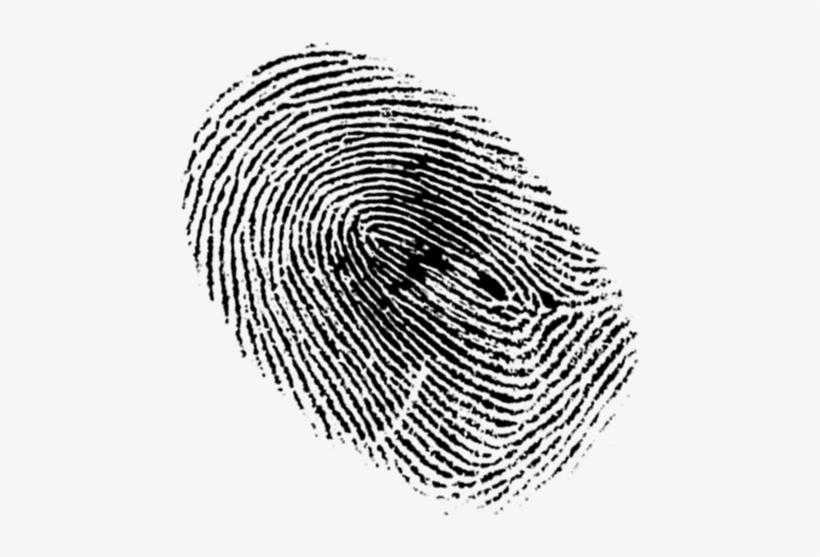 What's Up With New York Food Stamps And Fingerprinting - Odcisk Palca Grafika, transparent png #1227886