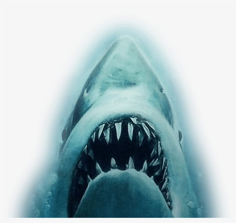 Shark Attack Png Download - Michael Jackson: The Life Of An Icon (dvd), transparent png #1228366