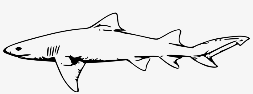 Great White Shark Clipart Shark Outline - Shark Black And White Clipart, transparent png #1228546
