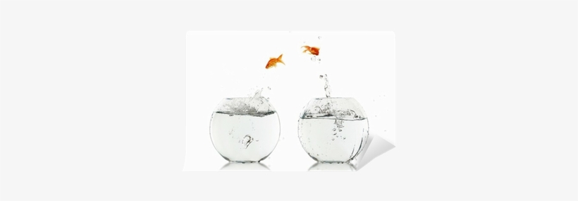 Aquarium, transparent png #1228850