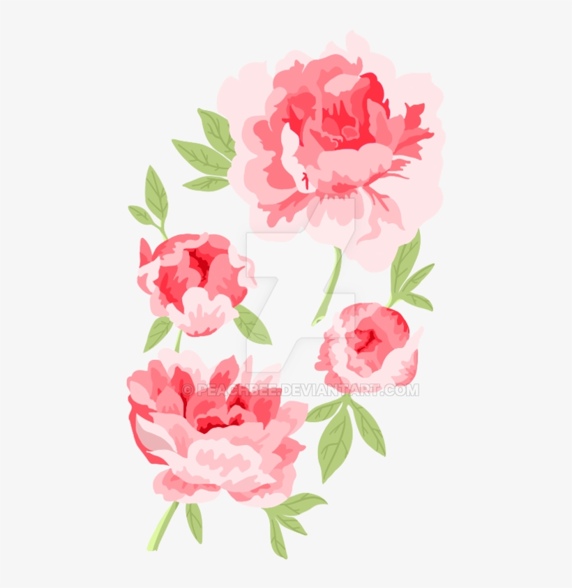 Tattoos Transparent Peony - Lineless Rose Tattoo, transparent png #1229134