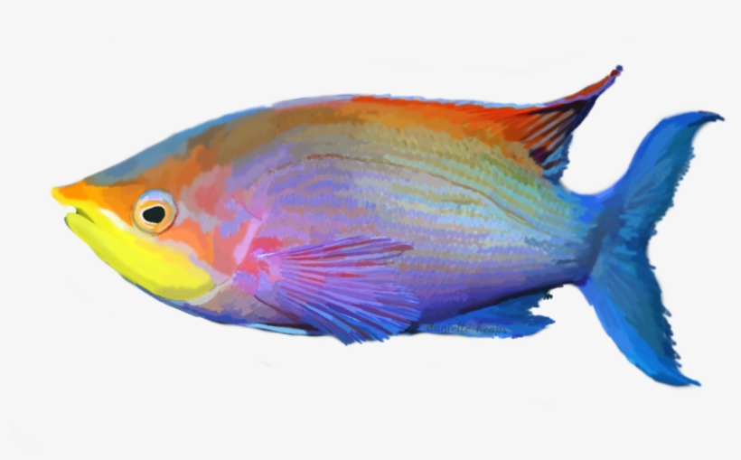 Tropical Fish Png - Salt Water Fish Png, transparent png #1229300