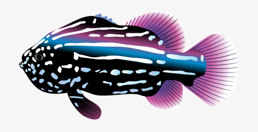 Ocean Life Clip Art - Tropical Fish Clipart, transparent png #1229365