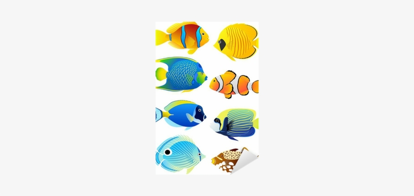 Cartoon Tropical Fish Png, transparent png #1229488