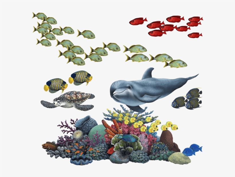 Tropical - Coral (pink) Wall Decal, Home Decor Decals,, transparent png #1229630