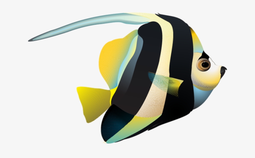 Graphic Design Pinterest Clip Tropical Fish Cartoon - Tropical Fish Cartoon Png, transparent png #1229720