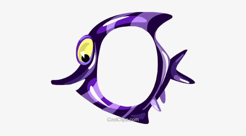 Cartoon Tropical Fish Frame - Clip Art Fish Photo Frame, transparent png #1229748