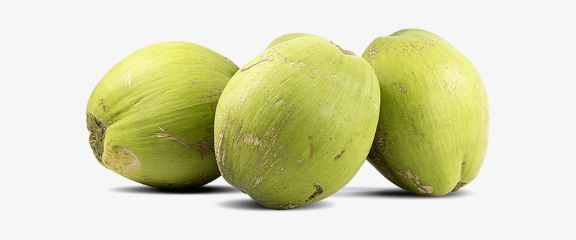 Coconut, transparent png #1230103