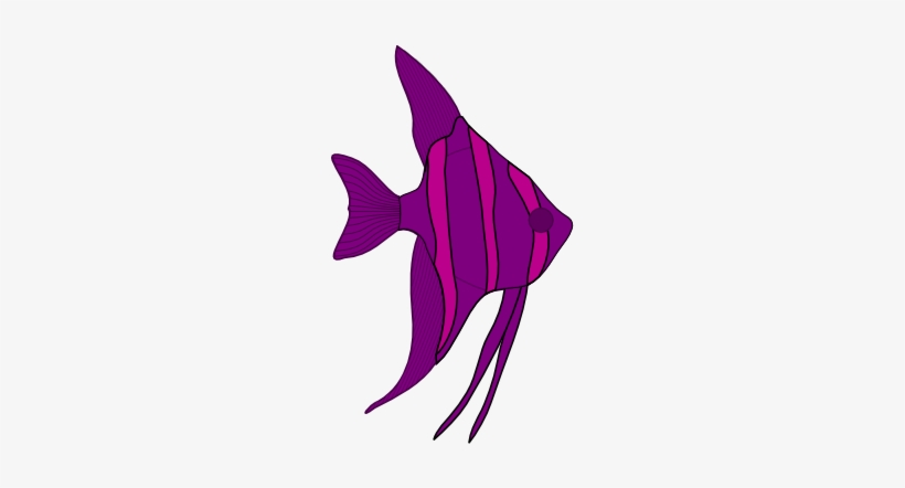 Angel Fish Png Download - Estrella De Mar Silueta, transparent png #1230164