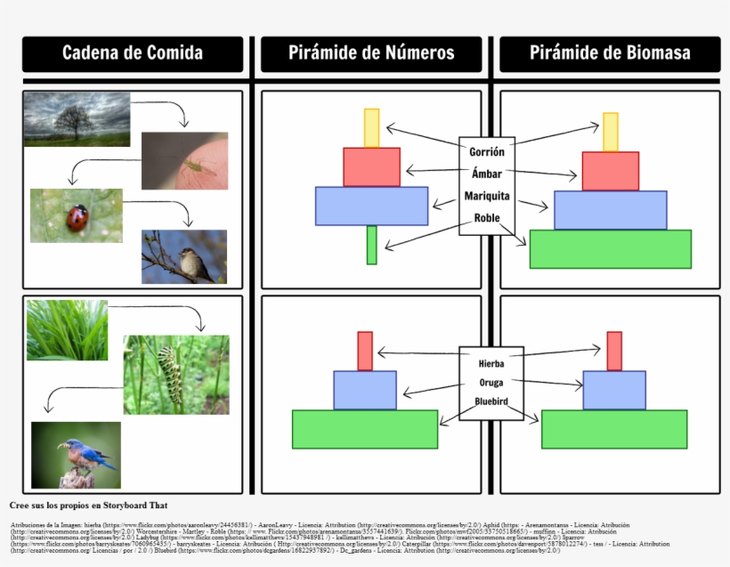 Piramide De Numeros, transparent png #1230391