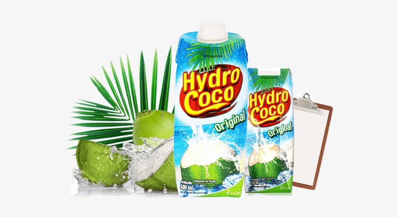 Hydro Coco Png Waiola Coconut Water Chocolate 8 5 Fl Oz Free Transparent Png Download Pngkey