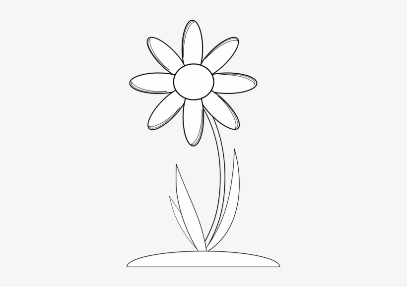 Flowers Vectors Clipart Book - Gambar Bunga Di Buku Gambar, transparent png #1232512