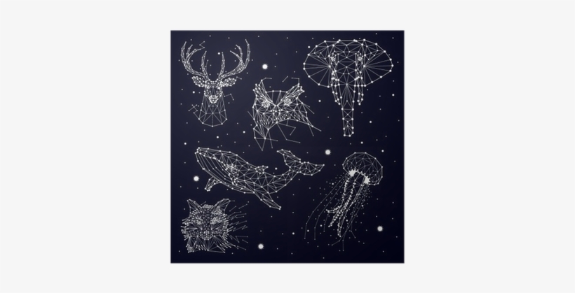 Set Of Constellation , Elephant, Owl, Deer, Whales - Creative Vector Deer Dots Stars, transparent png #1232850