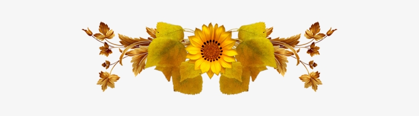 Sunflower, transparent png #1233411