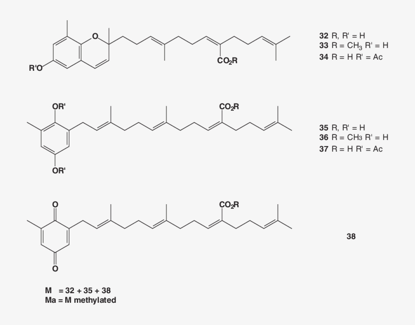 Plastoquinones And Tocotrienols From R - Diagram, transparent png #1234390