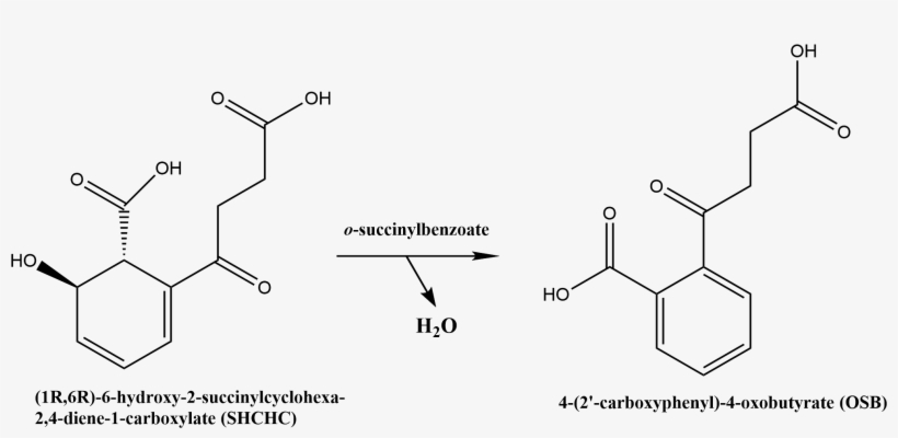 Chemical Reaction Catalyzed By Osbs - Chemical Reaction Png, transparent png #1234945