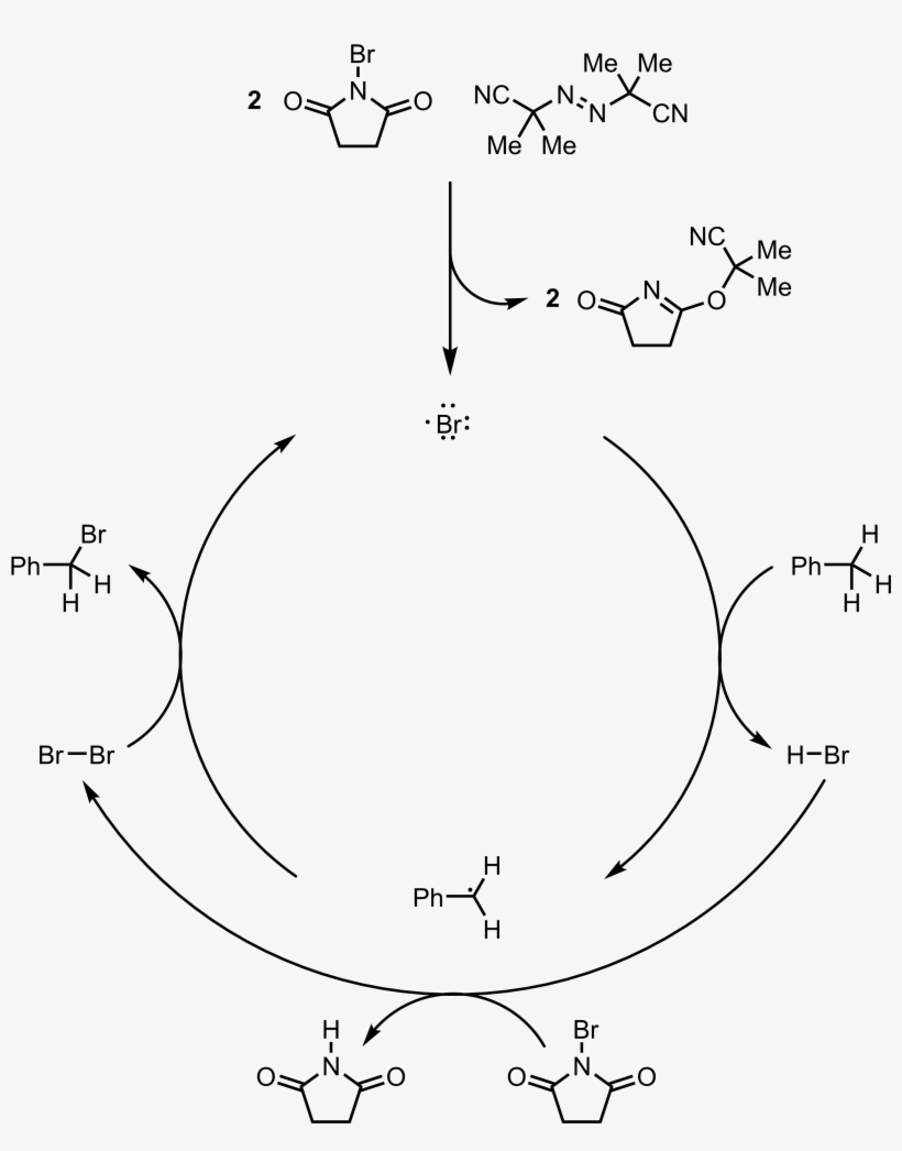 Mechanism Of The Wohl-ziegler Reaction - Wohl–ziegler Bromination, transparent png #1235483