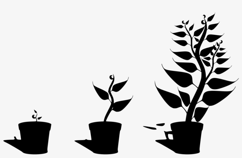 Download Png - Getting To Know Plants, transparent png #1236992
