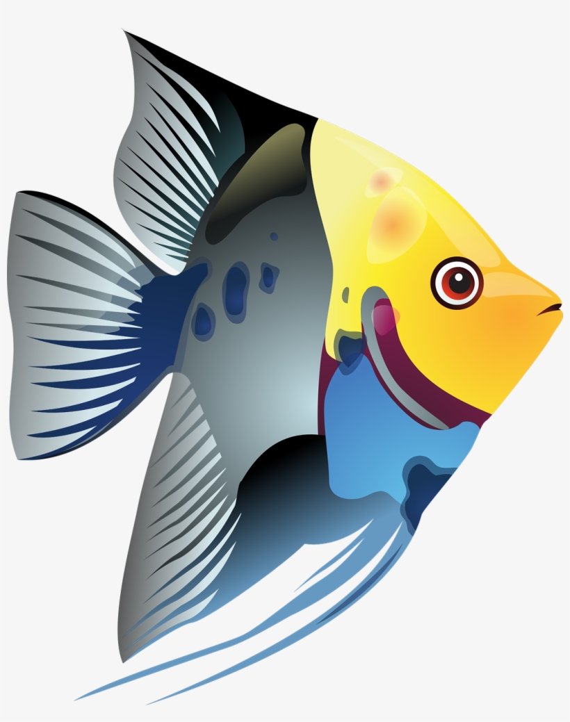 Free To Use & Public Domain Fish Clip Art - Tropical Fish Clip Art, transparent png #1238325