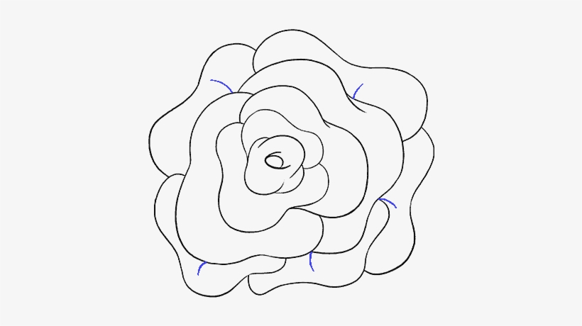 How To Draw Rose Flower Step - Drawing, transparent png #1238836