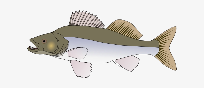 Fins Clipart Big Fish - Clip Art Big Fish, transparent png #1239103