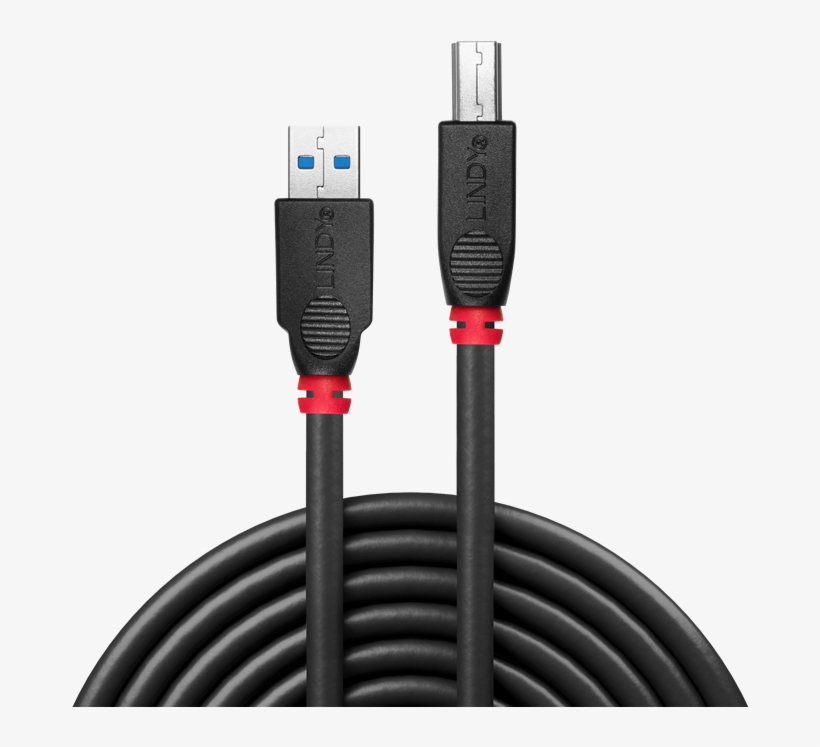 0 Hub Connection Cable - Lindy - Video Cable - Male 20 Pin Displayport, transparent png #1240548