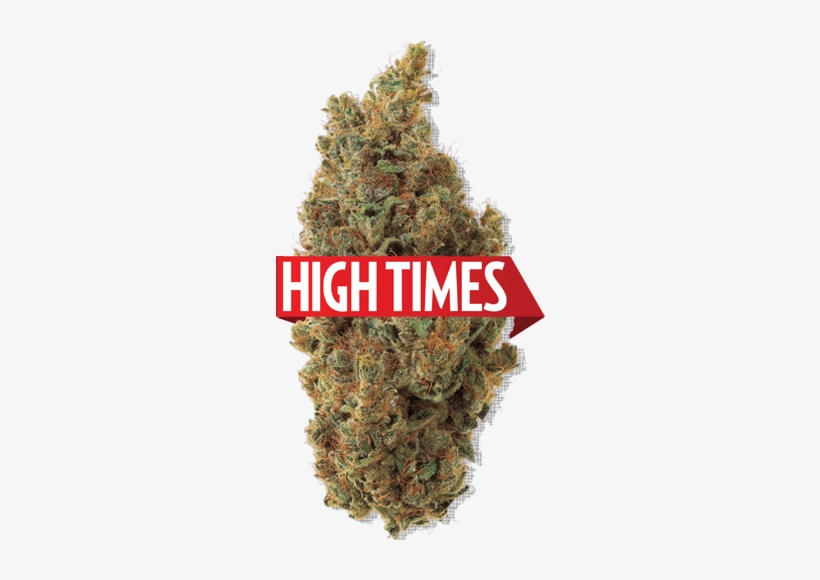 Teaching The World To Grow Since - High Times, transparent png #1240871