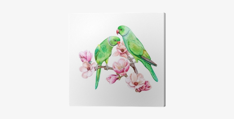 Rose Ringed Parakeet - Green Parrots Clipart, transparent png #1240895