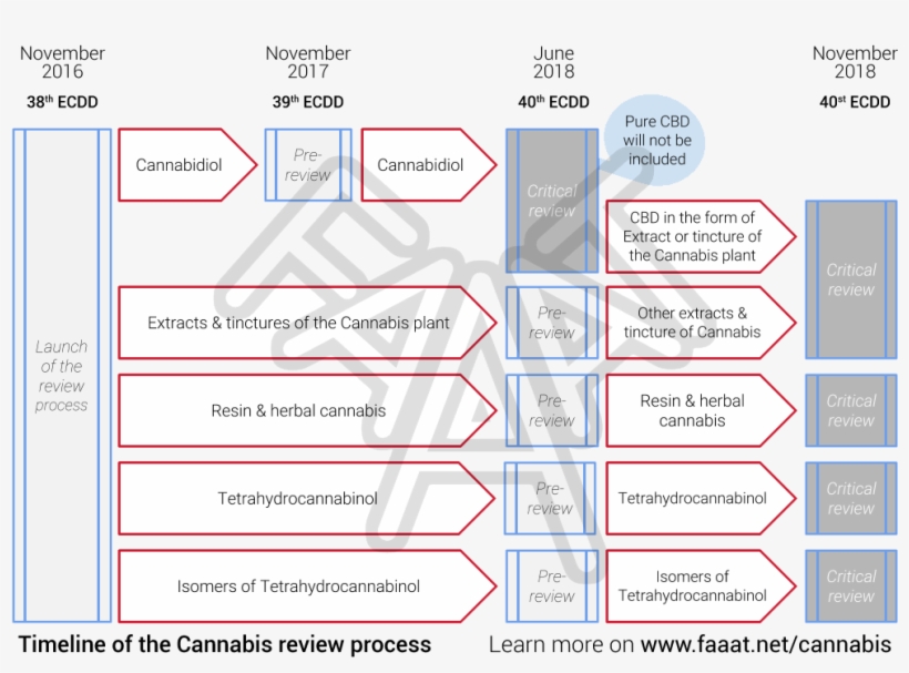 Below Is The Timeline Of The Different Part Of The - Parallel, transparent png #1241007