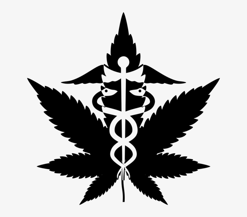 The Longtime Dark Image Of Marijuana Is Fast Diminishing - Weed Black And White, transparent png #1241206