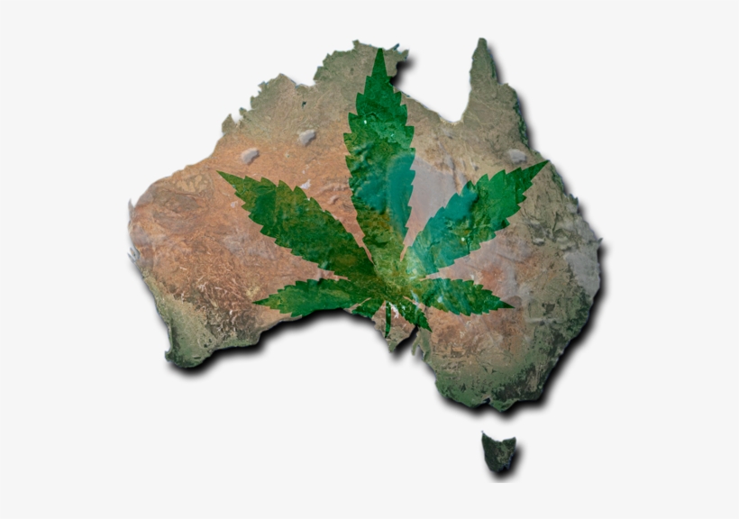 Australia Cannabis, transparent png #1241655