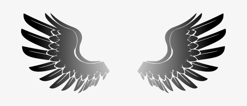 Wings Angel Eagle Bird Wings Wings Wings W, transparent png #1241771