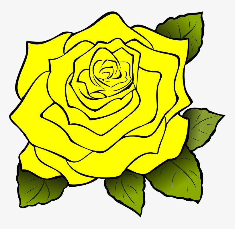 Yellow Rose Flower Free Png Transparent Images Free - Yellow Rose Clipart Png, transparent png #1241953