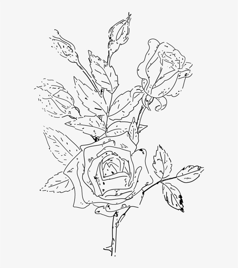 Victorian Rose Clipart Png Naatwh Clipart - Coloring Book, transparent png #1241977