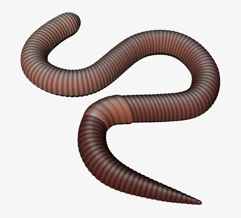 Earthworm Worm Png - Earth Worm Png, transparent png #1243290