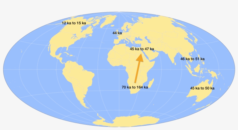 File Name - World Map, transparent png #1243346