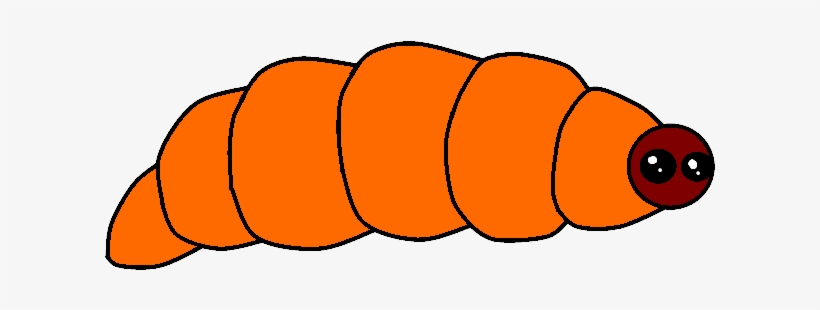 Maguey Worm By Needlemouse - Maguey Worm, transparent png #1243476