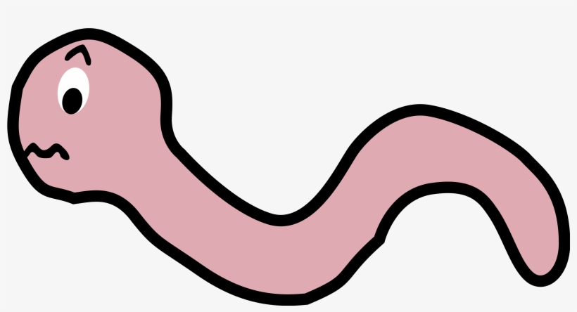 Related Pictures Funny Worm Png Clipart - Worm Cartoon Transparent, transparent png #1243504