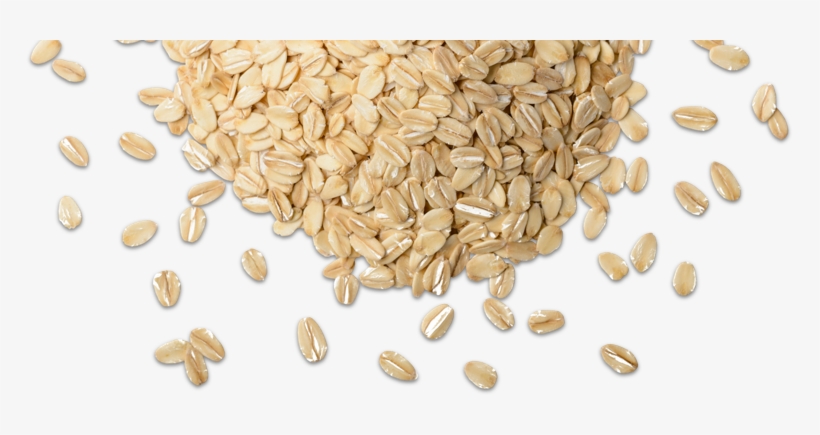 Picture Grain Png - Grains Png, transparent png #1243595